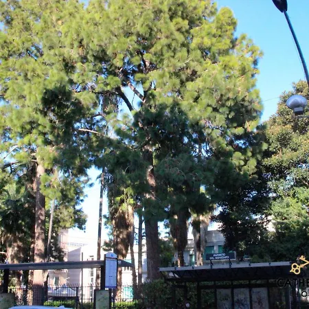 Cathedral 公寓 *